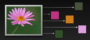 Démonstration de l'obtention de couleurs à partir d'une image