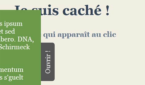 Démonstration du volet en train de s'ouvrir.