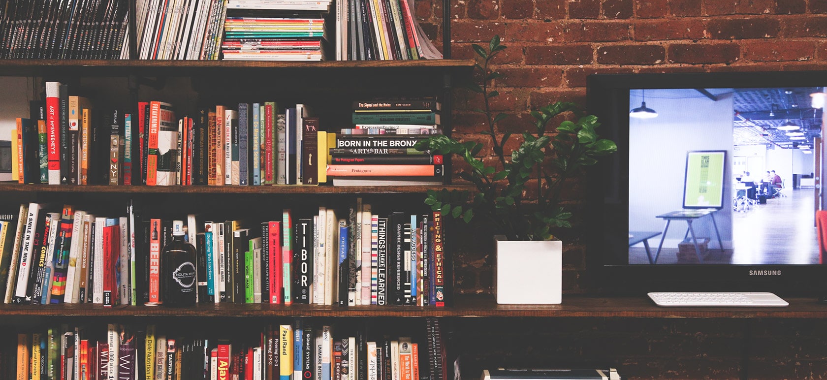 Une belle bibliothèque, un environnement zen et fengshui.